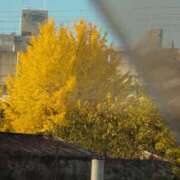 ヒメ日記 2025/11/26 15:18 投稿 さつき 熟女の風俗最終章 沼津店