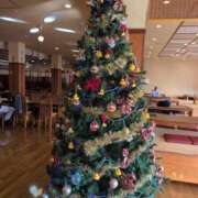 ヒメ日記 2025/11/27 19:48 投稿 さつき 熟女の風俗最終章 沼津店