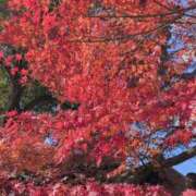 ヒメ日記 2025/11/28 20:28 投稿 さつき 熟女の風俗最終章 沼津店