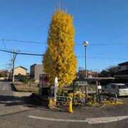 ヒメ日記 2025/11/30 10:15 投稿 さつき 熟女の風俗最終章 沼津店