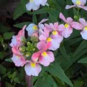 ヒメ日記 2025/12/02 08:16 投稿 さつき 熟女の風俗最終章 沼津店