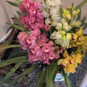 ヒメ日記 2025/12/03 22:08 投稿 さつき 熟女の風俗最終章 沼津店