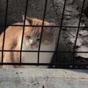 ヒメ日記 2025/12/08 10:18 投稿 さつき 熟女の風俗最終章 沼津店