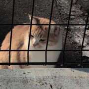 ヒメ日記 2025/12/08 16:08 投稿 さつき 熟女の風俗最終章 沼津店