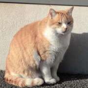 ヒメ日記 2025/12/14 08:58 投稿 さつき 熟女の風俗最終章 沼津店