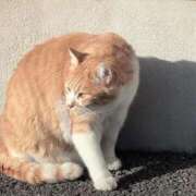 ヒメ日記 2025/12/14 09:18 投稿 さつき 熟女の風俗最終章 沼津店