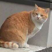 ヒメ日記 2025/12/14 09:48 投稿 さつき 熟女の風俗最終章 沼津店