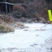 ヒメ日記 2025/12/18 08:38 投稿 さつき 熟女の風俗最終章 沼津店