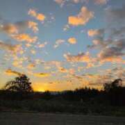 ヒメ日記 2025/12/29 07:22 投稿 さつき 熟女の風俗最終章 沼津店