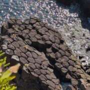 ヒメ日記 2026/01/12 11:38 投稿 さつき 熟女の風俗最終章 沼津店