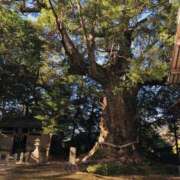 ヒメ日記 2026/01/12 14:38 投稿 さつき 熟女の風俗最終章 沼津店