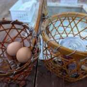 ヒメ日記 2026/01/12 15:38 投稿 さつき 熟女の風俗最終章 沼津店