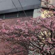 ヒメ日記 2026/01/15 23:58 投稿 さつき 熟女の風俗最終章 沼津店