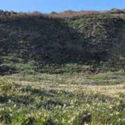 ヒメ日記 2026/01/20 19:08 投稿 さつき 熟女の風俗最終章 沼津店