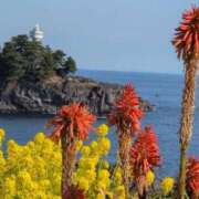 ヒメ日記 2026/01/21 10:48 投稿 さつき 熟女の風俗最終章 沼津店