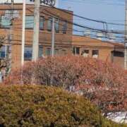 ヒメ日記 2026/01/21 11:08 投稿 さつき 熟女の風俗最終章 沼津店