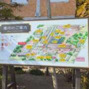 ヒメ日記 2026/01/27 12:28 投稿 さつき 熟女の風俗最終章 沼津店