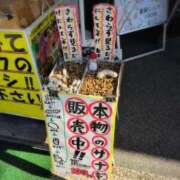 ヒメ日記 2026/01/27 19:38 投稿 さつき 熟女の風俗最終章 沼津店