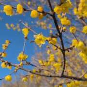 ヒメ日記 2026/01/28 09:48 投稿 さつき 熟女の風俗最終章 沼津店