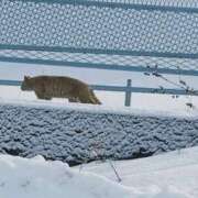 ヒメ日記 2026/01/30 18:38 投稿 さつき 熟女の風俗最終章 沼津店