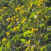 ヒメ日記 2026/02/04 08:58 投稿 さつき 熟女の風俗最終章 沼津店