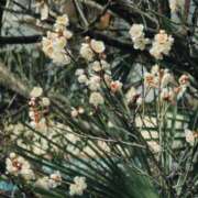 ヒメ日記 2026/02/07 20:17 投稿 さつき 熟女の風俗最終章 沼津店