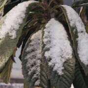 ヒメ日記 2026/02/08 10:18 投稿 さつき 熟女の風俗最終章 沼津店