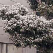 ヒメ日記 2026/02/08 13:58 投稿 さつき 熟女の風俗最終章 沼津店