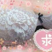 ヒメ日記 2026/02/10 23:40 投稿 さつき 熟女の風俗最終章 沼津店