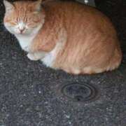 ヒメ日記 2026/02/12 12:48 投稿 さつき 熟女の風俗最終章 沼津店