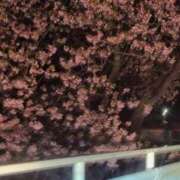 ヒメ日記 2026/02/13 07:30 投稿 さつき 熟女の風俗最終章 沼津店