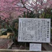 ヒメ日記 2026/02/13 12:48 投稿 さつき 熟女の風俗最終章 沼津店