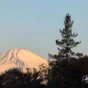 ヒメ日記 2026/02/16 07:48 投稿 さつき 熟女の風俗最終章 沼津店