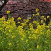 ヒメ日記 2026/02/17 10:48 投稿 さつき 熟女の風俗最終章 沼津店