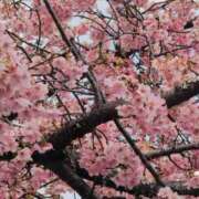 ヒメ日記 2026/02/18 09:38 投稿 さつき 熟女の風俗最終章 沼津店