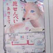 ヒメ日記 2026/02/18 15:08 投稿 さつき 熟女の風俗最終章 沼津店