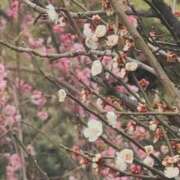 ヒメ日記 2026/02/18 15:27 投稿 さつき 熟女の風俗最終章 沼津店