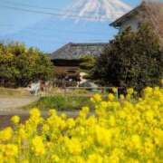 ヒメ日記 2026/02/19 10:03 投稿 さつき 熟女の風俗最終章 沼津店