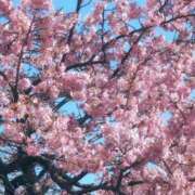 ヒメ日記 2026/02/21 10:11 投稿 さつき 熟女の風俗最終章 沼津店