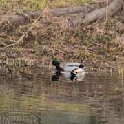 ヒメ日記 2026/02/22 08:18 投稿 さつき 熟女の風俗最終章 沼津店