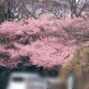 ヒメ日記 2026/02/22 10:48 投稿 さつき 熟女の風俗最終章 沼津店