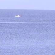 ヒメ日記 2026/02/24 11:18 投稿 さつき 熟女の風俗最終章 沼津店