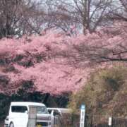 ヒメ日記 2026/02/24 11:38 投稿 さつき 熟女の風俗最終章 沼津店