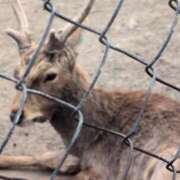 ヒメ日記 2026/02/24 15:08 投稿 さつき 熟女の風俗最終章 沼津店