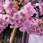 ヒメ日記 2026/02/24 15:48 投稿 さつき 熟女の風俗最終章 沼津店