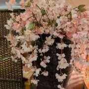 ヒメ日記 2026/03/01 12:58 投稿 さつき 熟女の風俗最終章 沼津店