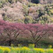 ヒメ日記 2026/03/04 15:18 投稿 さつき 熟女の風俗最終章 沼津店