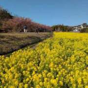 ヒメ日記 2026/03/05 10:18 投稿 さつき 熟女の風俗最終章 沼津店