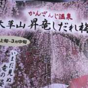 ヒメ日記 2026/03/05 12:08 投稿 さつき 熟女の風俗最終章 沼津店