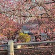 ヒメ日記 2026/03/06 08:49 投稿 さつき 熟女の風俗最終章 沼津店